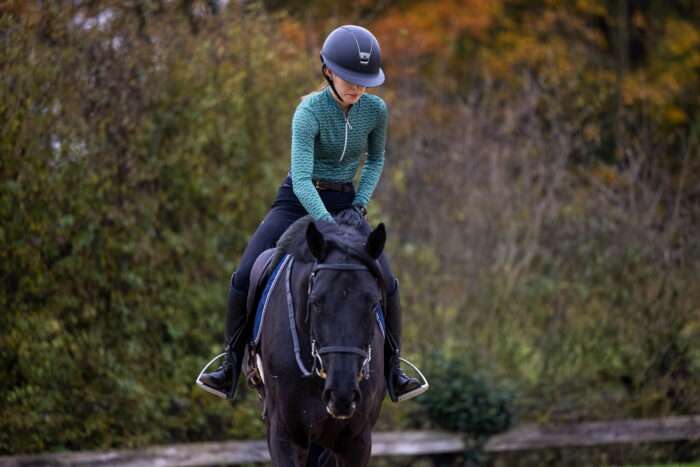 'TMB Celebrations' Forestry Baselayer - Image 4